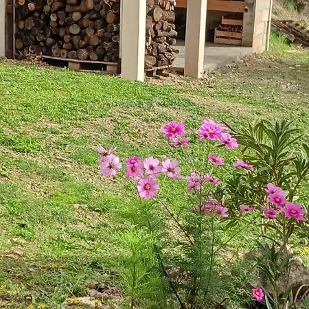 Lou Cabanot De Jardin Calme Et Confortable *